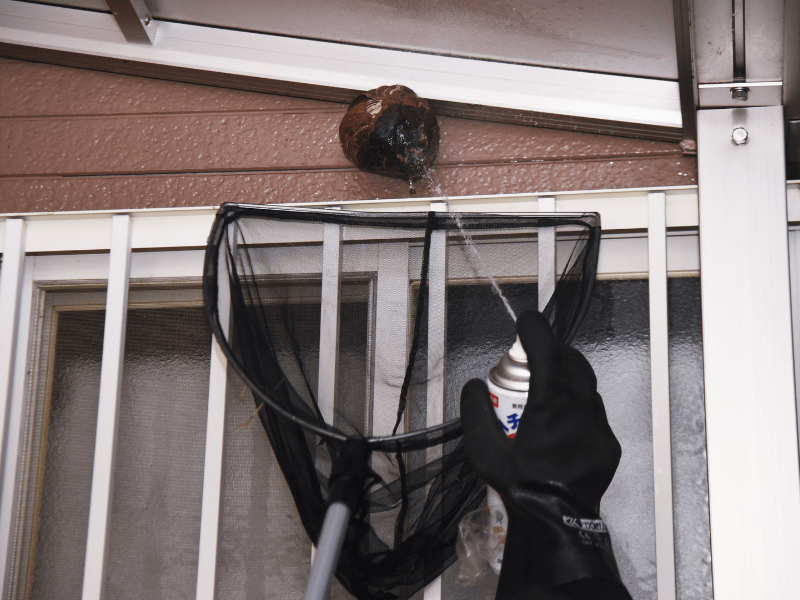 Technician removing wasp nest