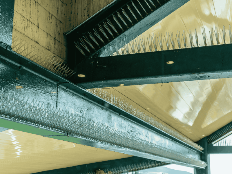 Bird spikes installed for commercial pigeon prevention